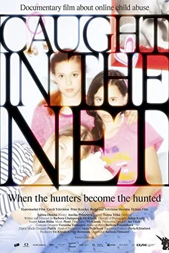 Csapda a neten (2020) poszter