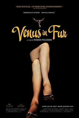 La Vénus à la fourrure (2013) poszter