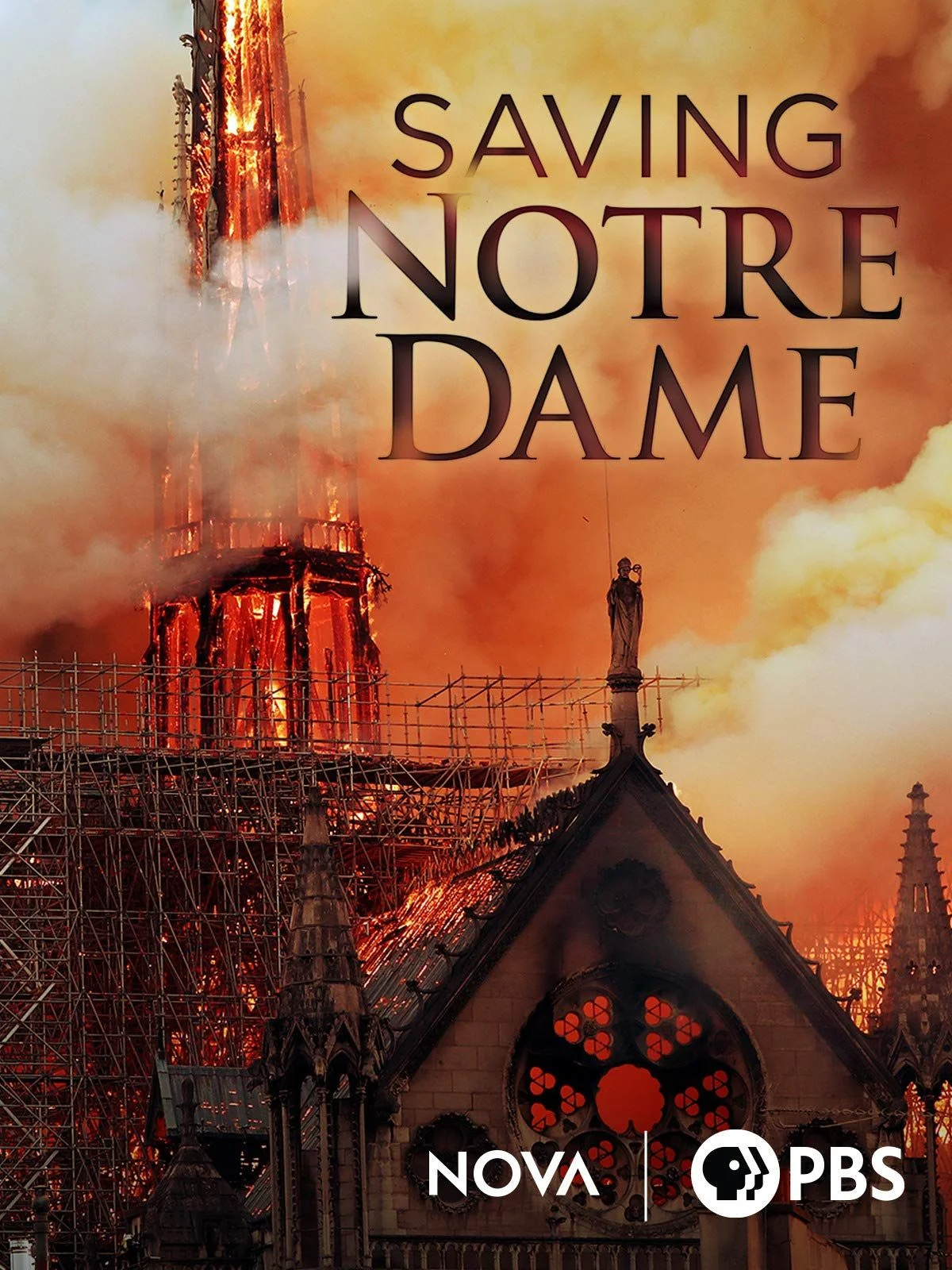 Sauver Notre-Dame (2020) poszter