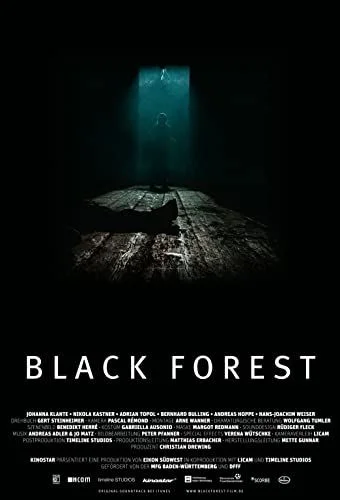 Fekete erdő (2010) poszter