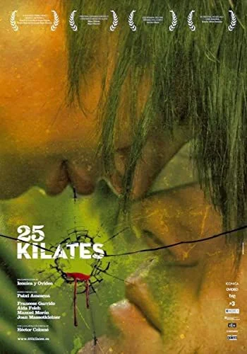 25 karát (2008) poszter