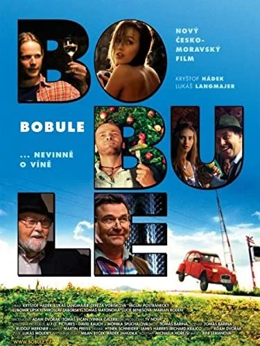 Botcsinálta borász (2008) poszter