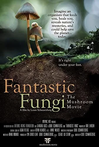 Fantastic Fungi (2019) poszter