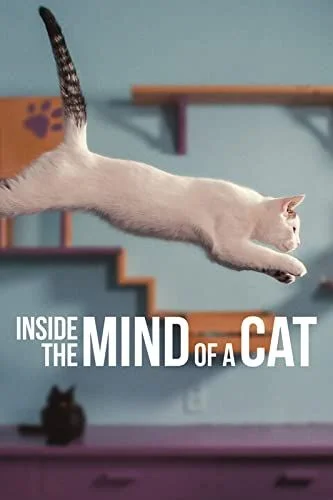 Inside the Mind of a Cat (2022) poszter