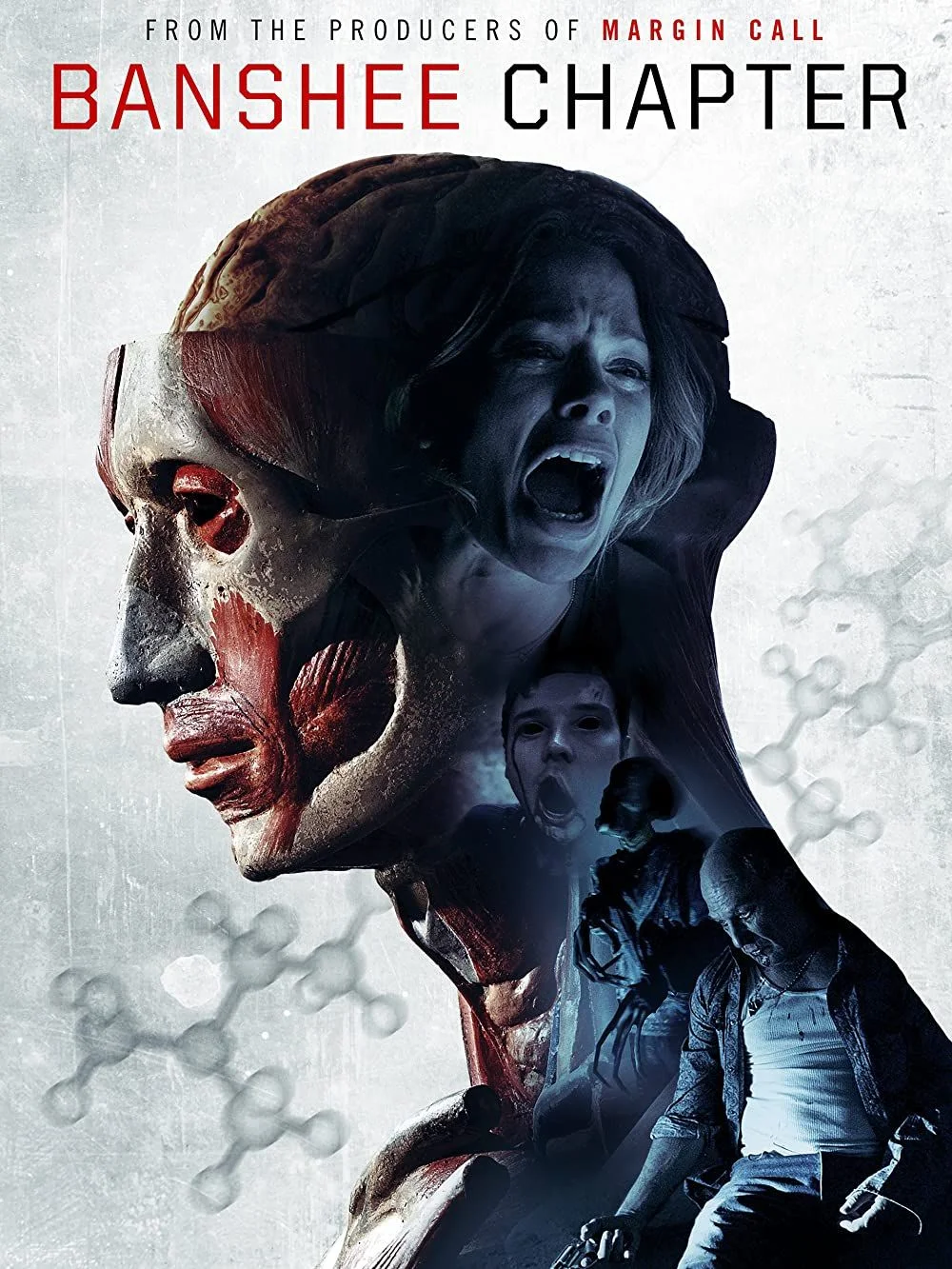 Banshee Chapter (2013) poszter