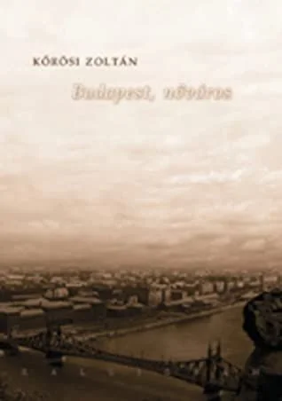 Budapest, nőváros (2008) poszter