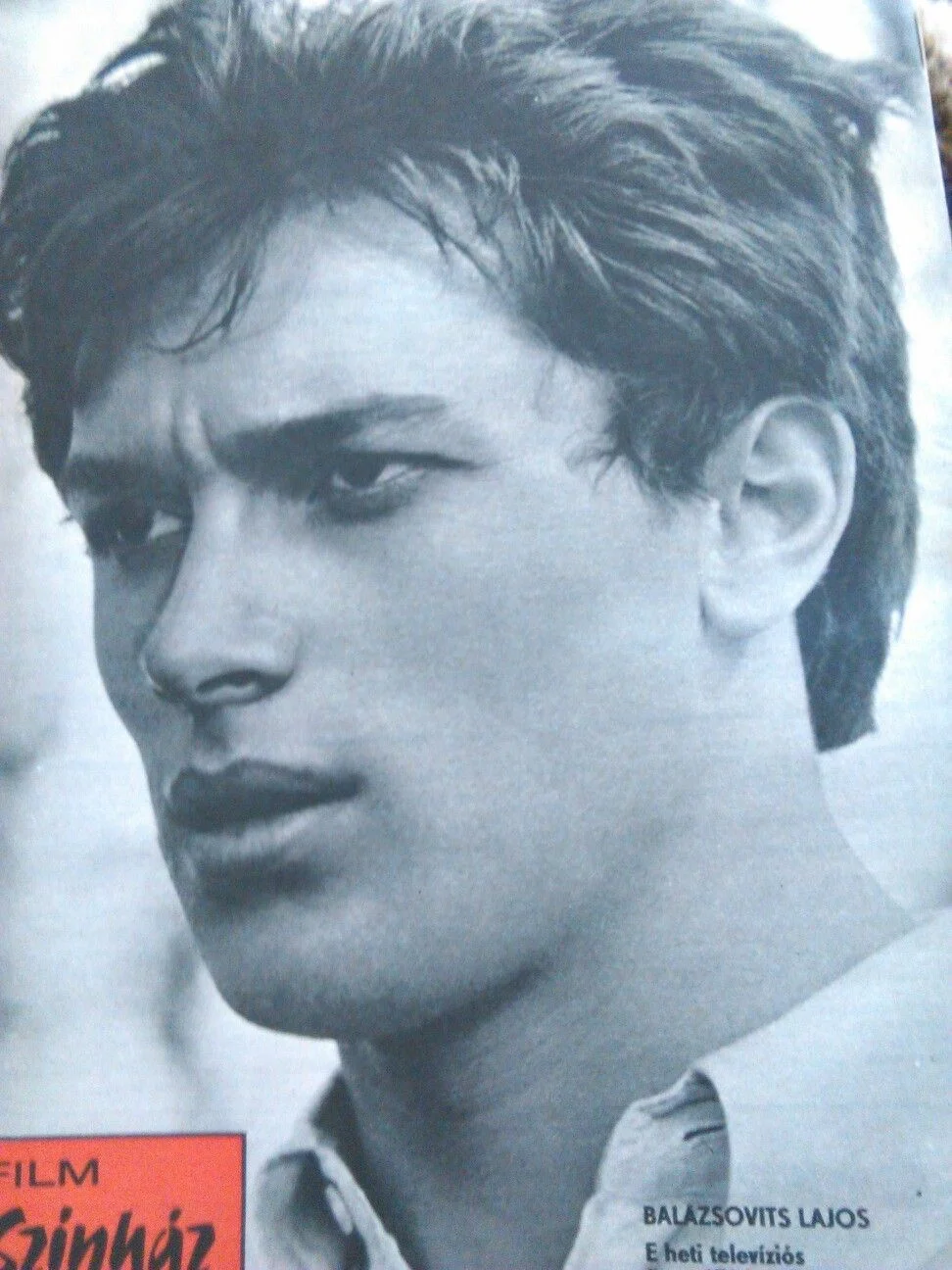 Horváték (1981) poszter