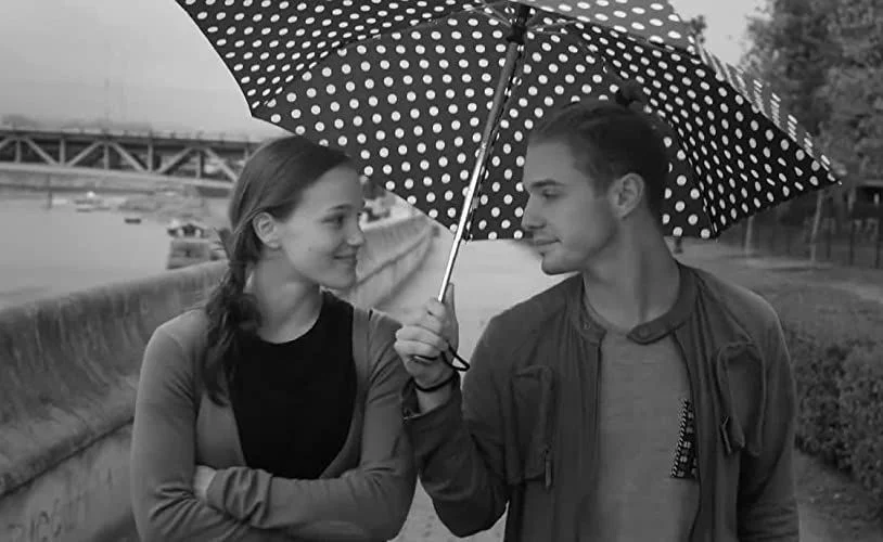 Semmi bogár (2016) poszter