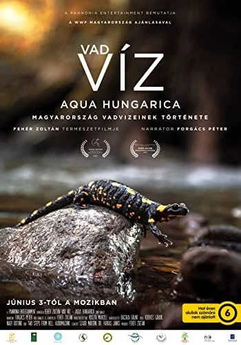 Vad víz - Aqua Hungarica (2021) poszter