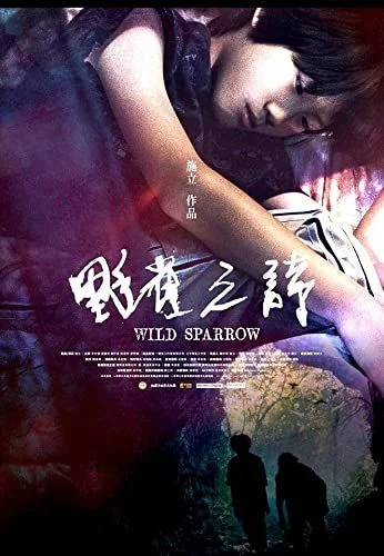 Wild Sparrow (2019) poszter