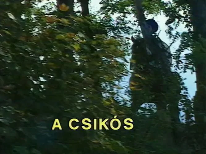 A csikós (1994) poszter