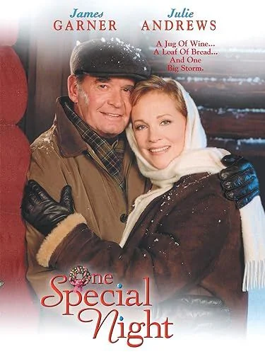 Egy különleges éjszaka (1999) poszter