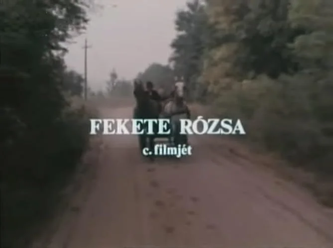 Fekete rózsa (1981) poszter