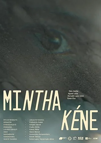 Mintha kéne (2022) poszter