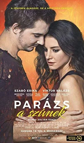 Parázs a szívnek (2017) poszter