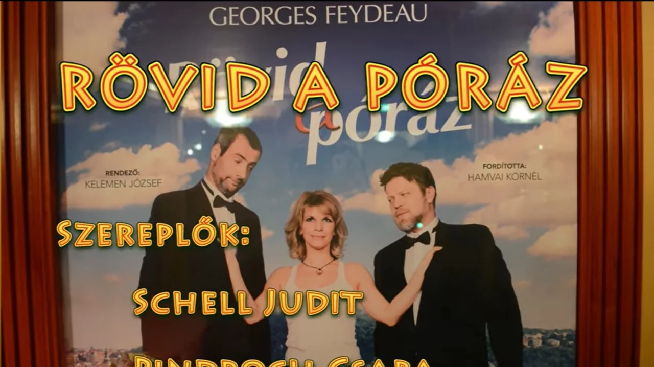 Rövid a póráz (2016) poszter