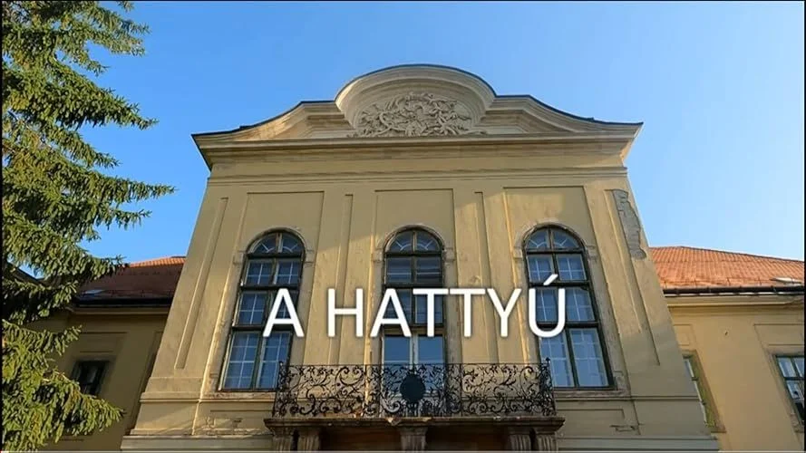 A hattyú (2022) poszter