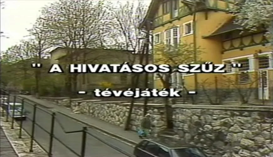 A hivatásos szűz (1986) poszter