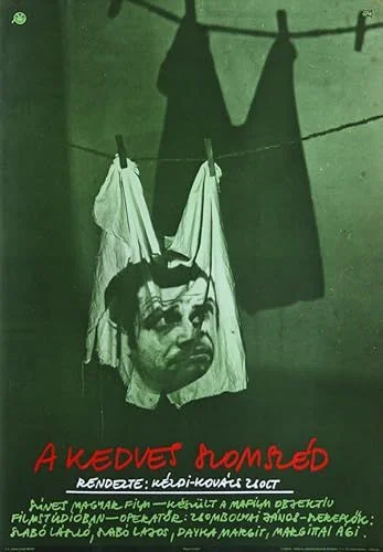 A kedves szomszéd (1979) poszter