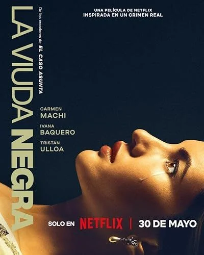 Az özvegy terve (2025) poszter