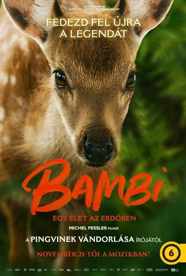 Bambi: Élet az erdőben (2024) poszter