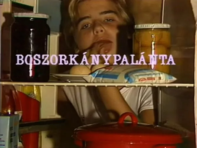 Boszorkánypalánta (1988) poszter