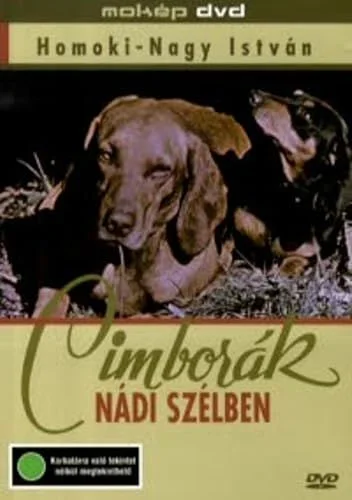 Cimborák - Nádi szélben (1958) poszter