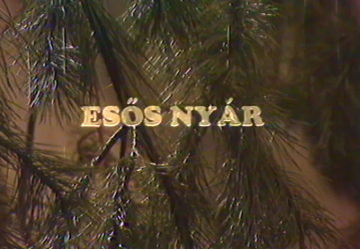 Esős nyár (1977) poszter