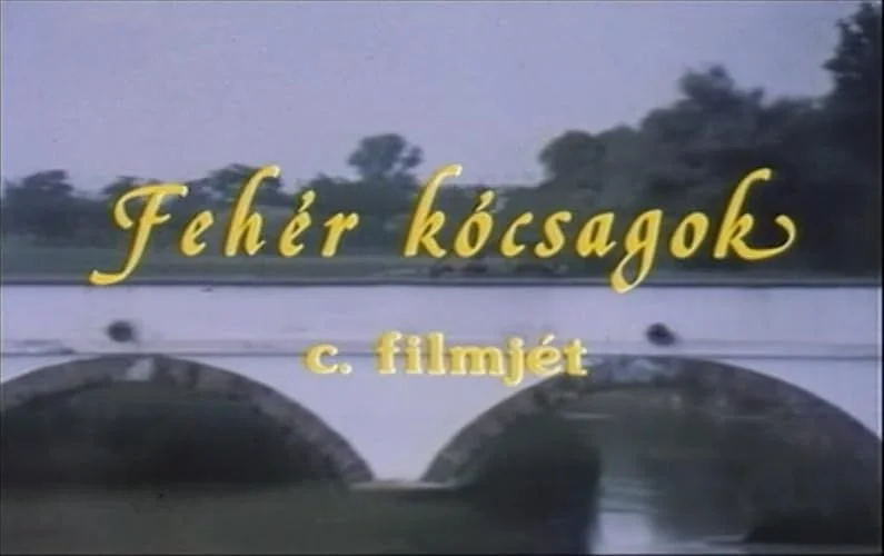 Fehér kócsagok (1990) poszter