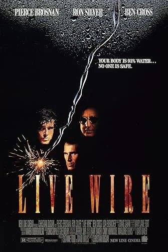 Gyújtóhatás (1992) poszter