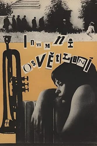 Intim megvilágításban (1965) poszter