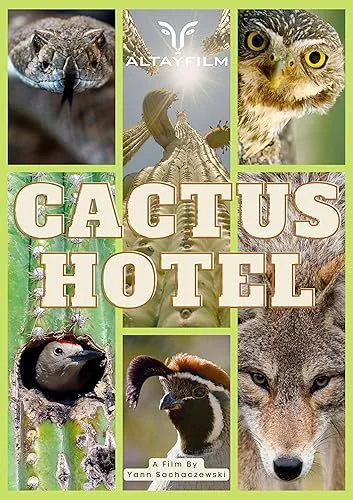 Kaktusz Hotel (2023) poszter