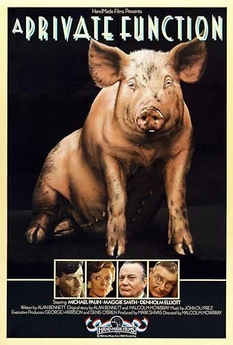 Magánpraxis (1984) poszter