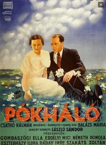 Pókháló (1936) poszter