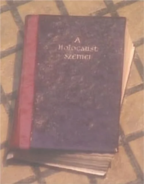 A Holocaust szemei (2000) poszter