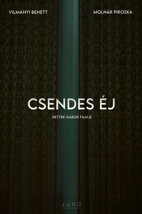 Csendes éj (2024) poszter