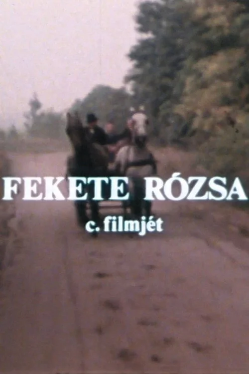 Fekete rózsa (1981) poszter