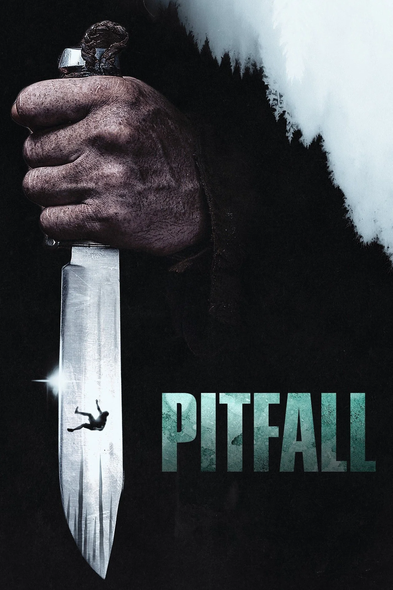 Pitfall (2026) poszter