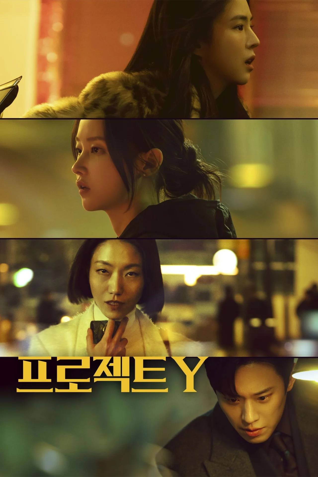프로젝트 Y (2026) poszter