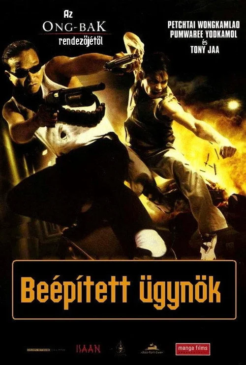 Beépített ügynök (2004) poszter