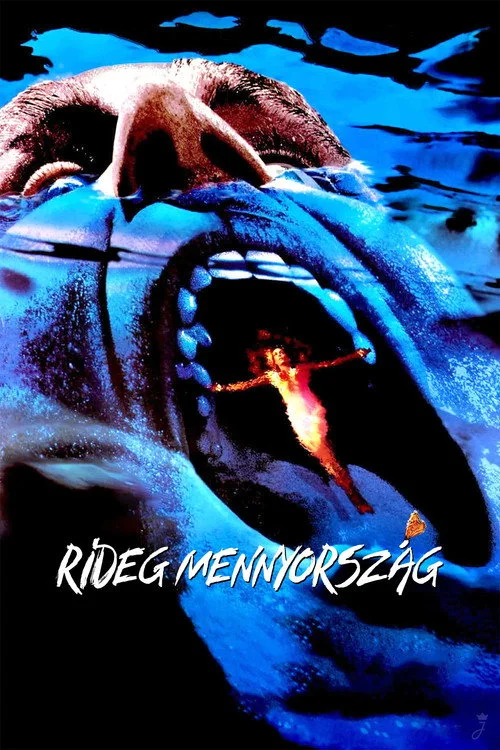 Rideg mennyország (1992) poszter