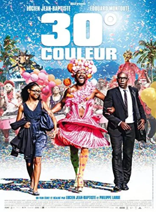 30° couleur (2012) poszter