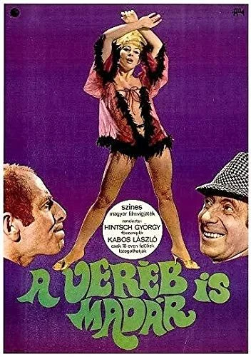 A veréb is madár (1968) poszter