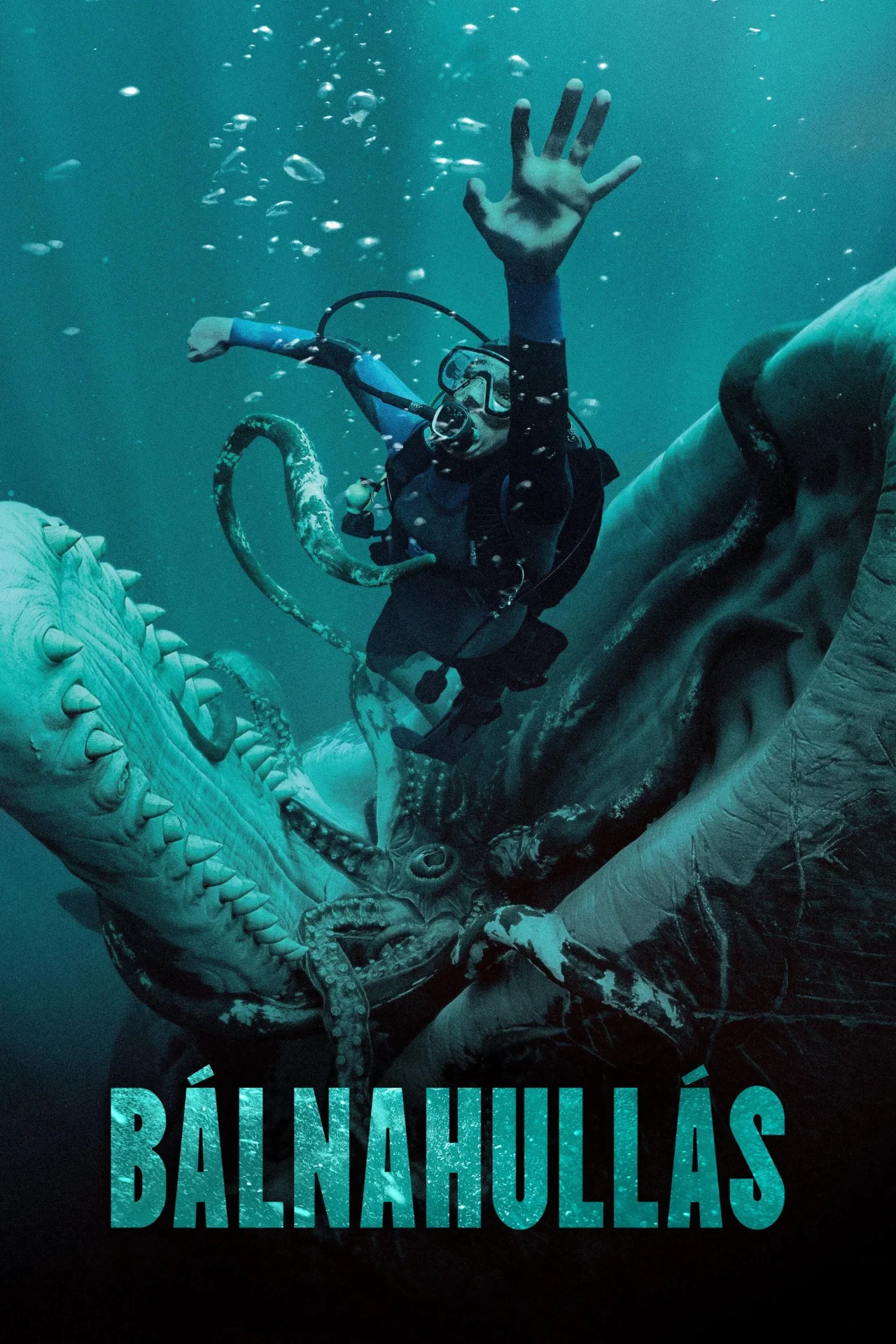 Bálnahullás (2026) poszter