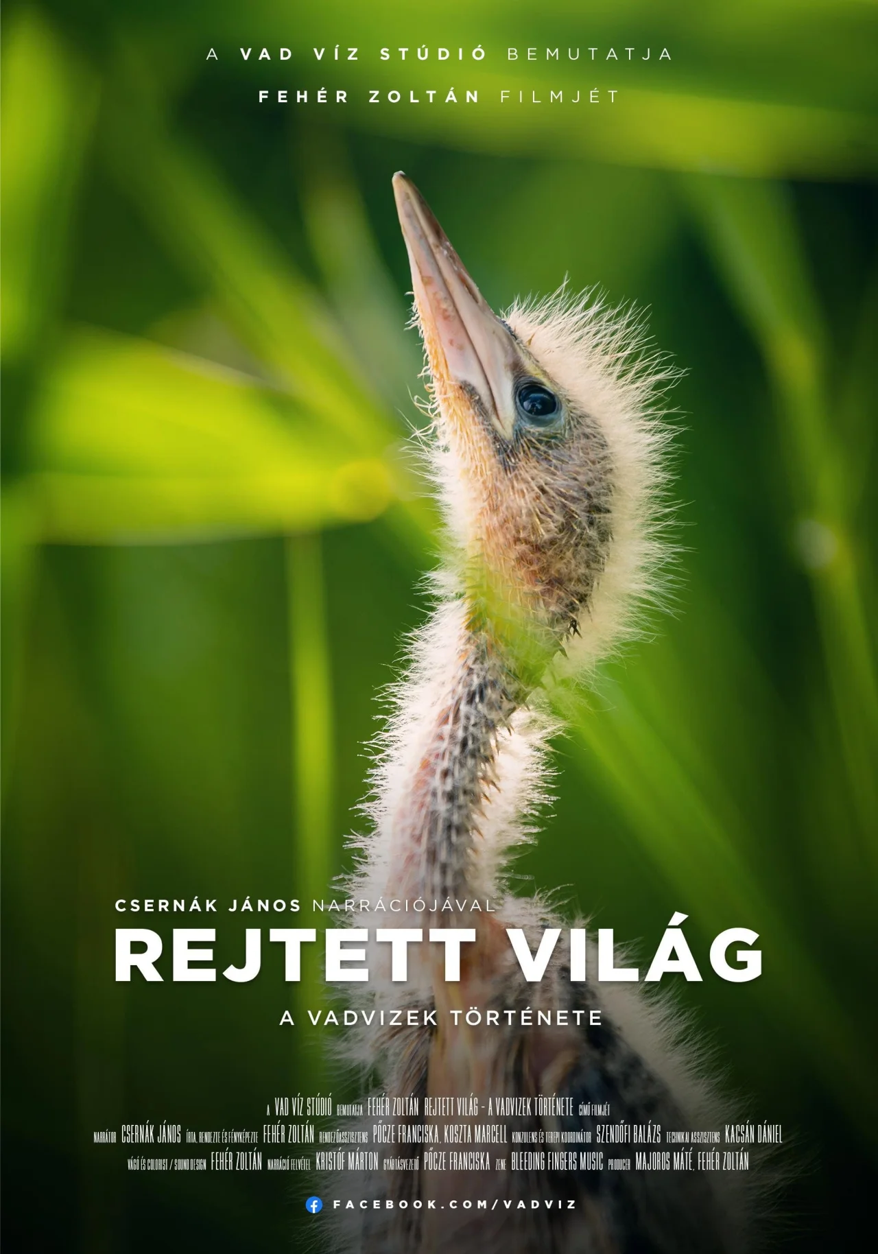 Rejtett világ - A vadvizek története (2023) poszter