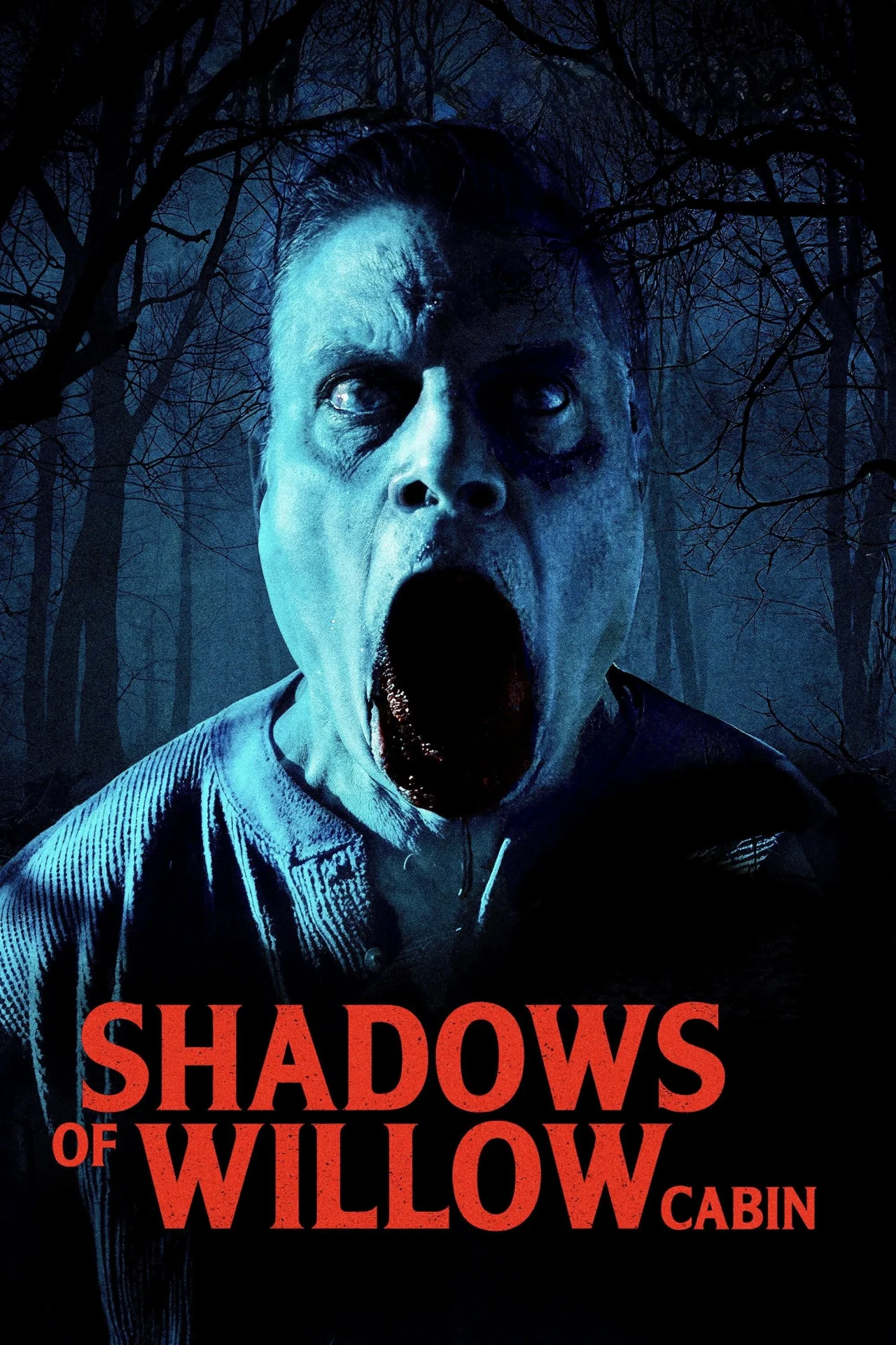 Shadows of Willow Cabin (2025) poszter
