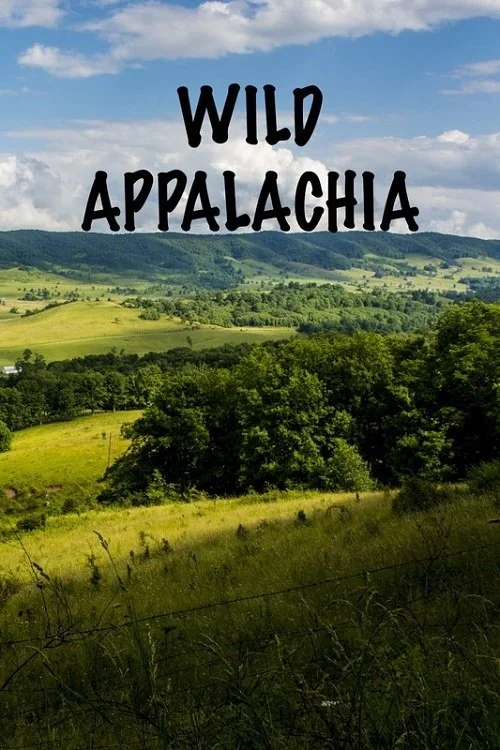 Wild Appalachia (2013) poszter