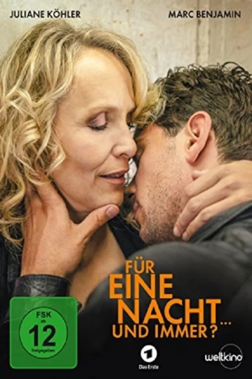 Több mint egy éjszaka (2015) poszter