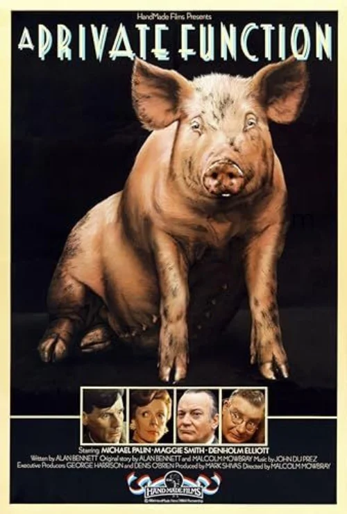Magánpraxis (1984) poszter