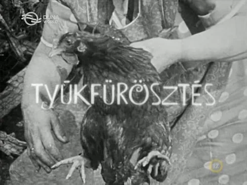 Tyúkfürösztés (1971) poszter